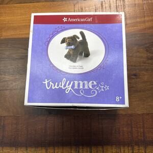 American Girl Chocolate Lab Puppy with box